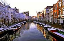 Snow dusts trees along a canal in Leiden. The city, about 25 miles southwest of Amsterdam, was a refuge for the Pilgrims, who eventually came to America.