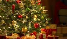 http://www.nederweert24.nl/wp-content/uploads/2012/12/kerstboom-419x186-280x165.jpg